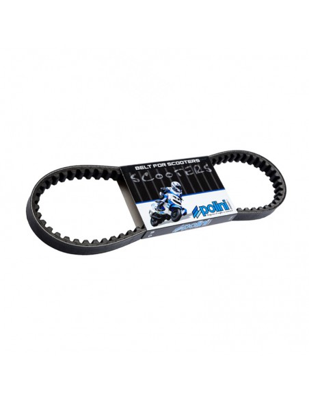 Courroie Polini Belt Scarabeo - Nitro - Stunt