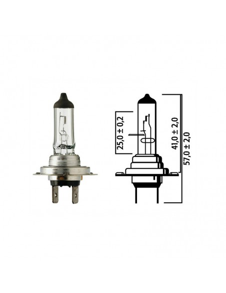 Ampoule H7 PX26D 12V 55W Flosser