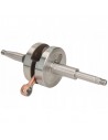 Vilebrequin Green Crank Buxy - Speedfight 1-2