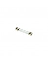 Fusible rond en verre 30A Flosser