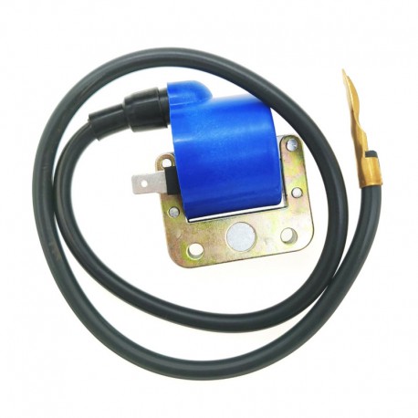 Bobine haute tension InterRacing 6V Piaggio Ciao