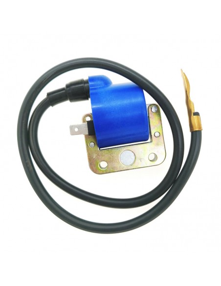 Bobine haute tension InterRacing 6V Piaggio Ciao