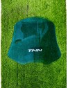 Visieur TNN