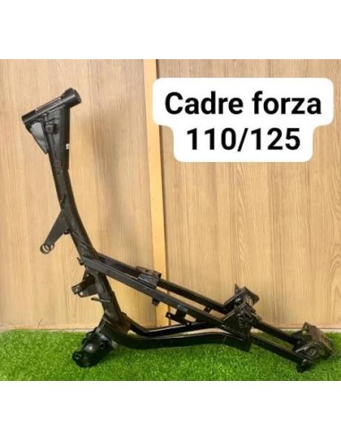 CADRE FORZA 110/125 CC