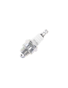 Bougie NGK BPM6A pour Tondeuse / tronçonneuses