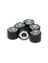 Jeu de 6 galets Malossi Ø19x15.5 5.5gr